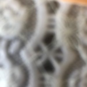 Meet your Posher, Clinton